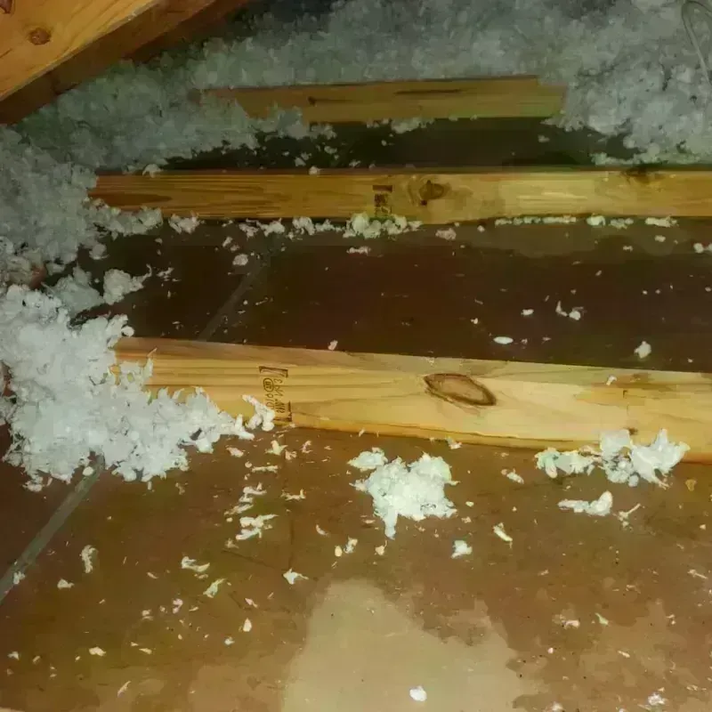 Attic Water Damage in Spartanburg, SC