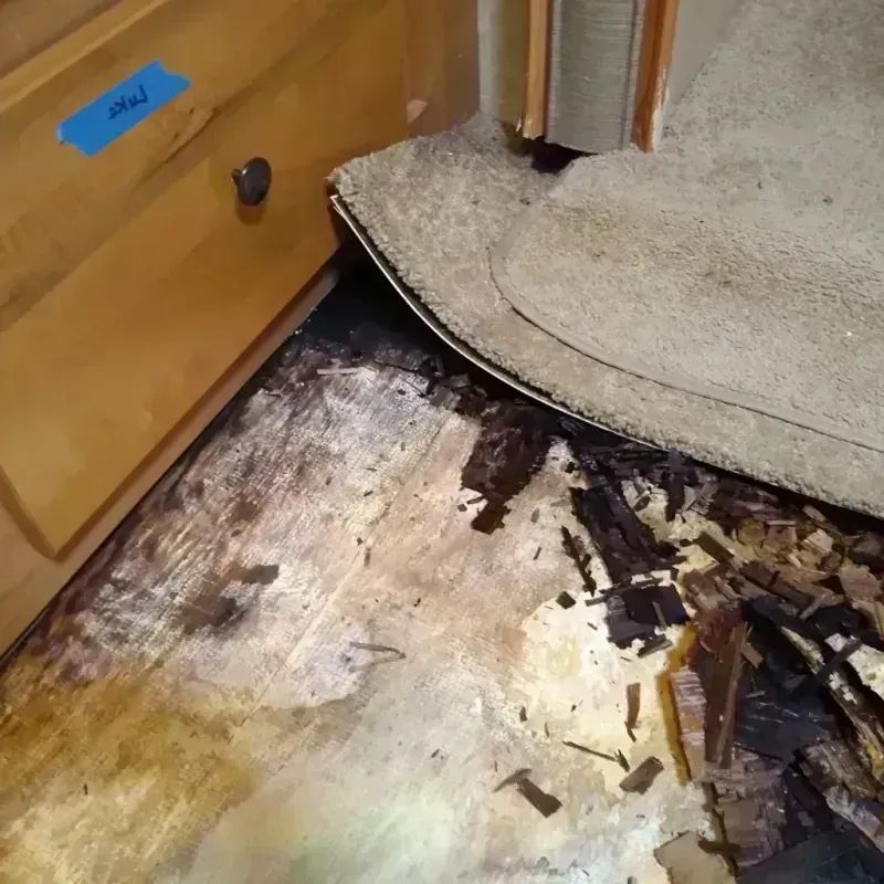 Best Wood Floor Water Damage Service in Spartanburg, SC